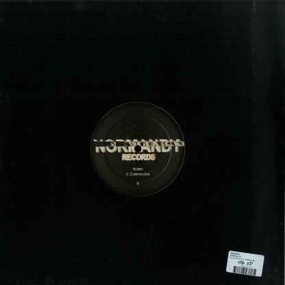 Back view of Syncrophone Sichuan vinyl record NRMND006, showing the black vinyl disc with label details visible.