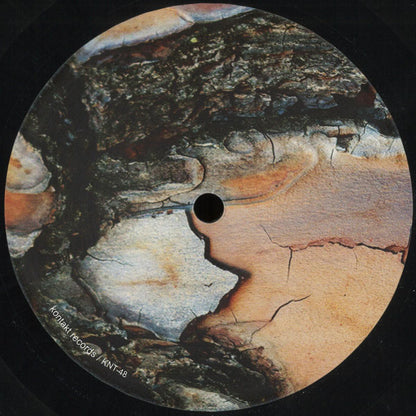 Decks TM Shuffle Monoder Anton Kubikov vinyl record in dark vinyl, back cover featuring abstract artwork and album details.