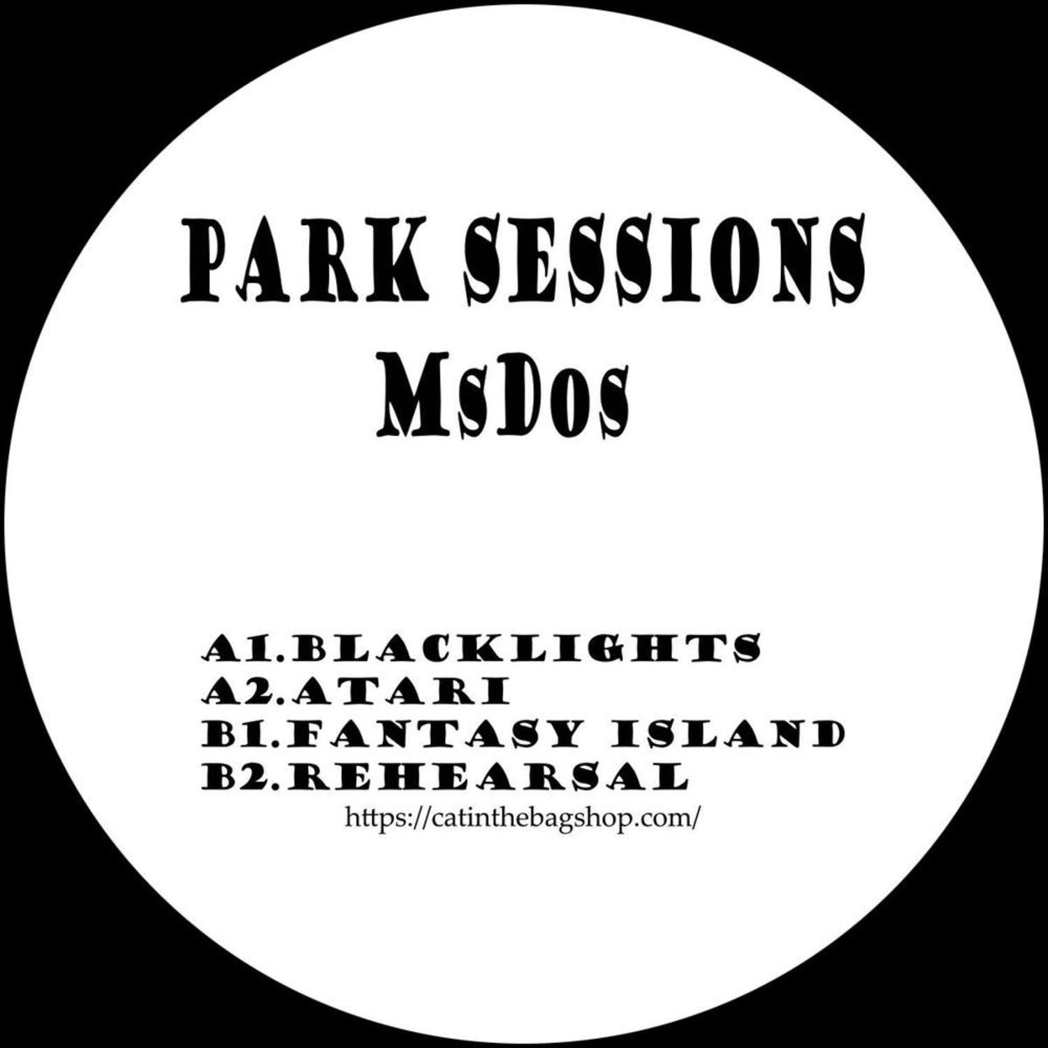 MSDOS – PARK SESSIONS 12 vinyl record by Triple Vision, showing the back cover with artwork and track details.