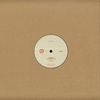 Vinyl Future ANAS M – ELEMENT 115 vinyl record with colorful abstract artwork on the back side.