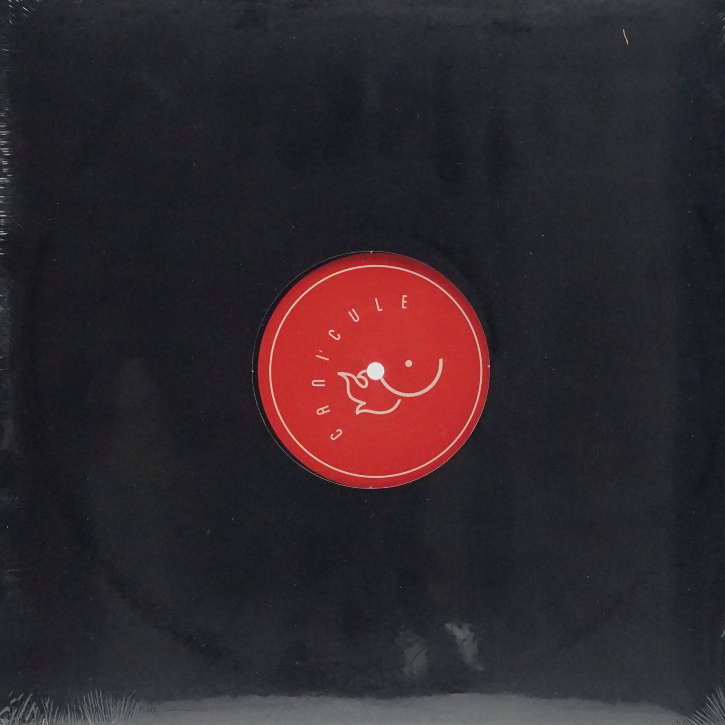 ANSELMO & BENJAMIN – GET ALONG