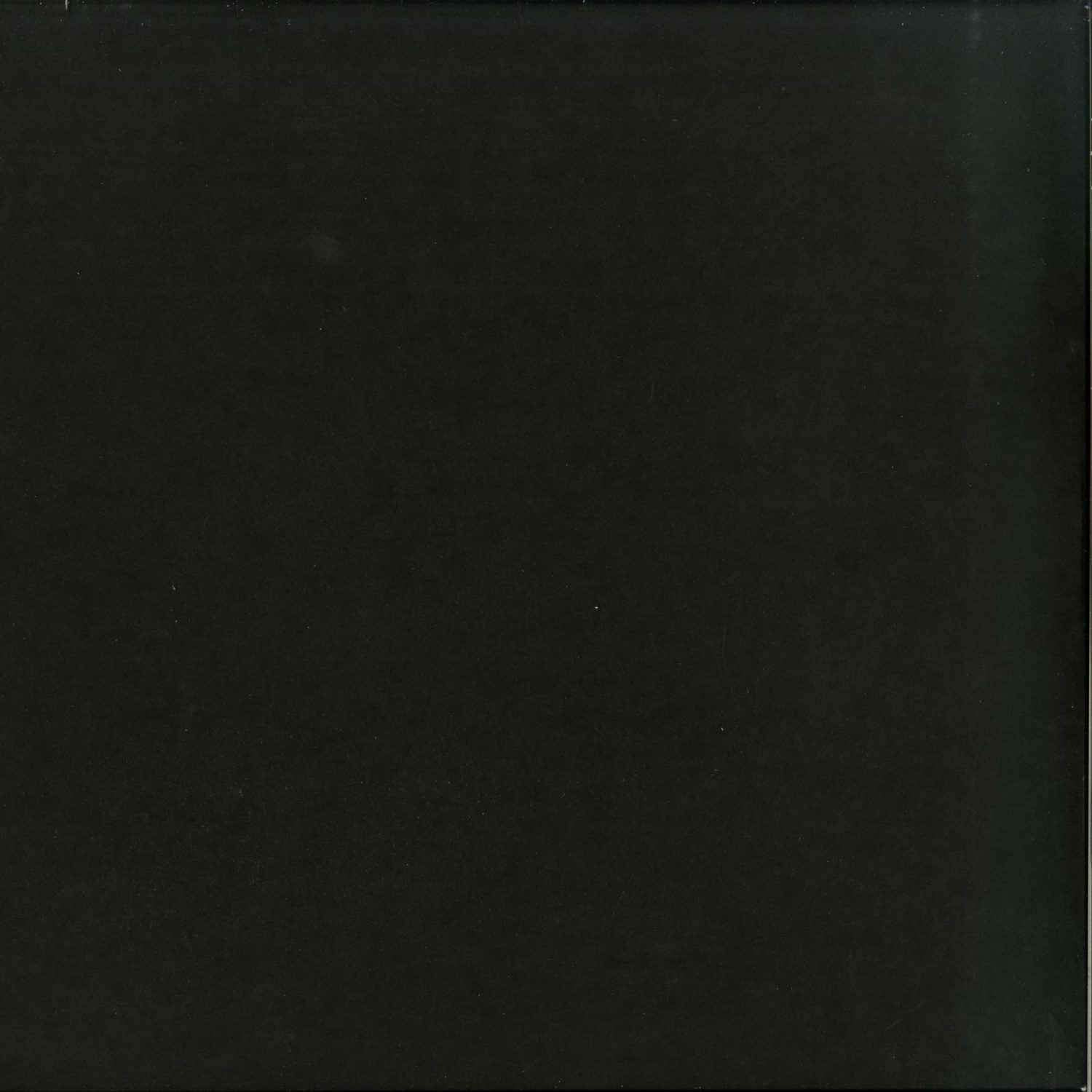 Back of vinyl record for Steve Bicknell Reeko P.E.A.R.L. Limits of Existence Vol.1, showcasing the record sleeve with artwork and text.