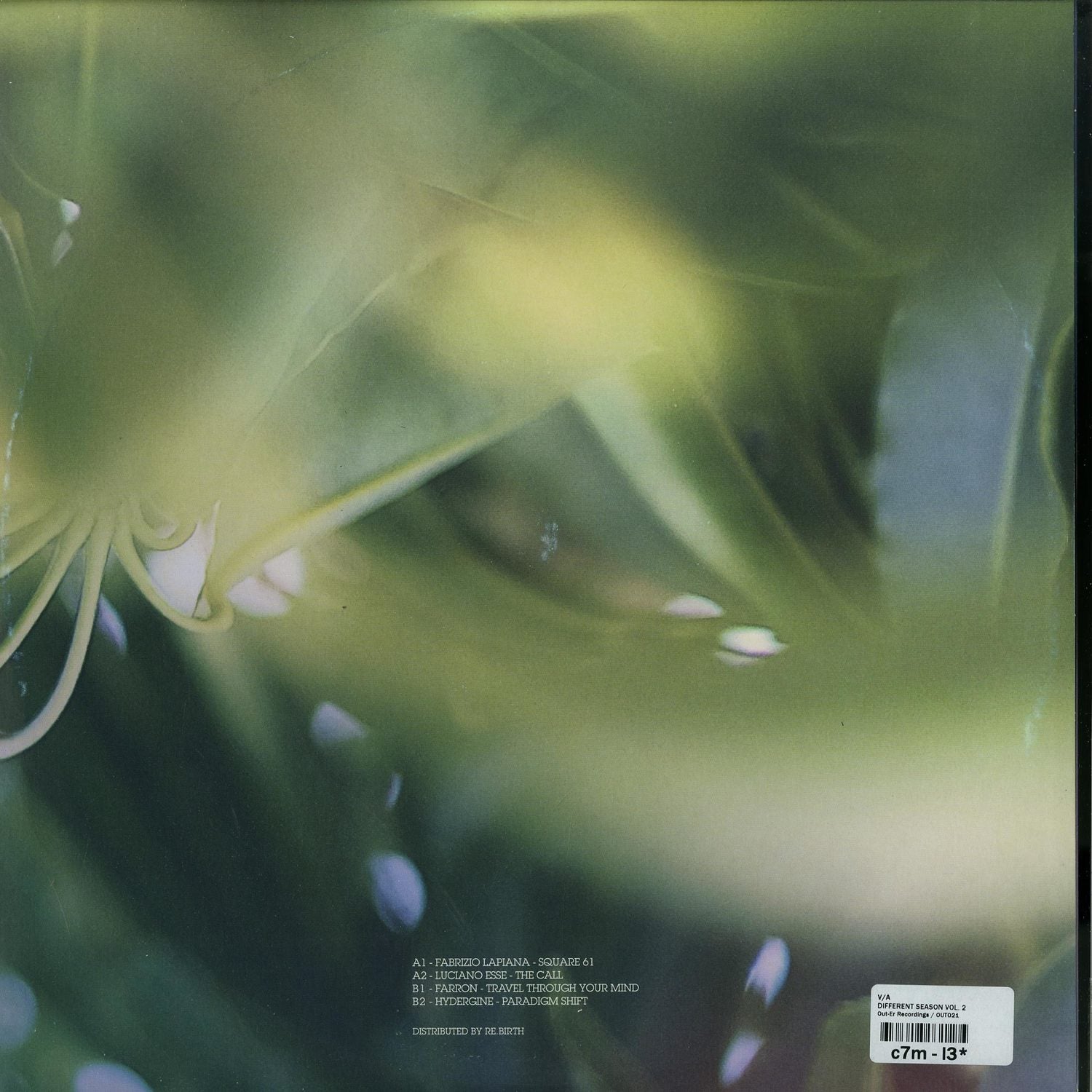 Second hand vinyl record of Luciano Esse, Farron, Hydergine, and Fabrizio Lapiana's Different Seasons Vol. 2 with colorful album cover art.