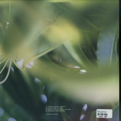 Second hand vinyl record of Luciano Esse, Farron, Hydergine, and Fabrizio Lapiana's Different Seasons Vol. 2 with colorful album cover art.