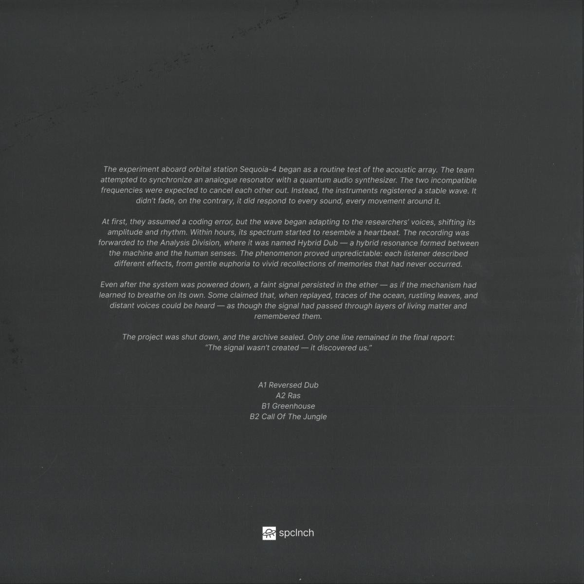 Vinyl Future R.HZ Hybrid Dub vinyl record with colorful label and black disc, featuring intricate artwork on the back.