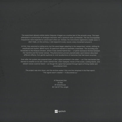 Vinyl Future R.HZ Hybrid Dub vinyl record with colorful label and black disc, featuring intricate artwork on the back.