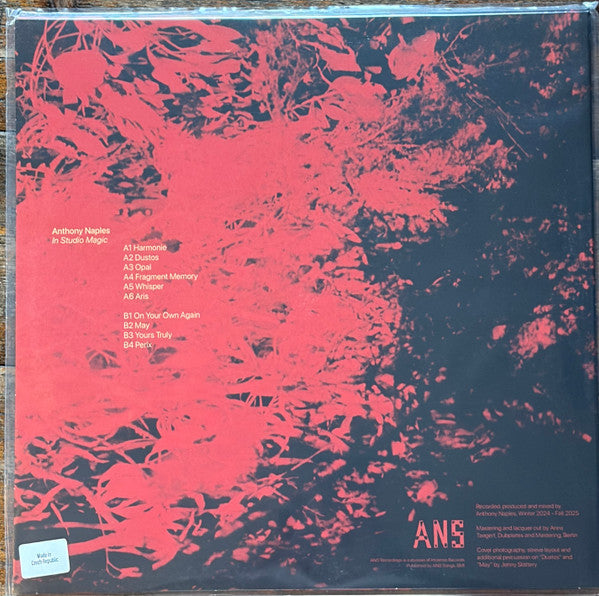 Rubadub vinyl record "Anthony Naples – In Studio Magic" showing the back cover with artwork and tracklist.