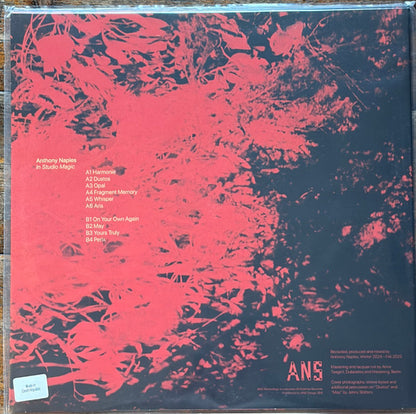 Rubadub vinyl record "Anthony Naples – In Studio Magic" showing the back cover with artwork and tracklist.