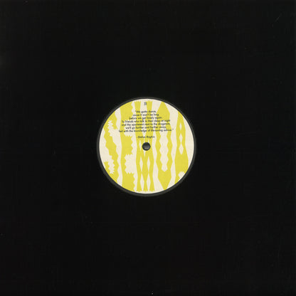 Vinyl Future SEMOA ELEKTROSYSTEM EP vinyl record with colorful abstract artwork on the back side.