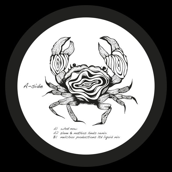 SHADI MEGALLAA, ZLENE & MATHIAS HINDS, MELCHIOR PRODUCTIONS LTD – WHAT NOW