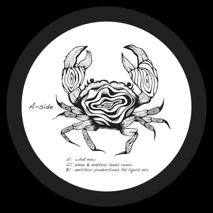 SHADI MEGALLAA, ZLENE & MATHIAS HINDS, MELCHIOR PRODUCTIONS LTD – WHAT NOW