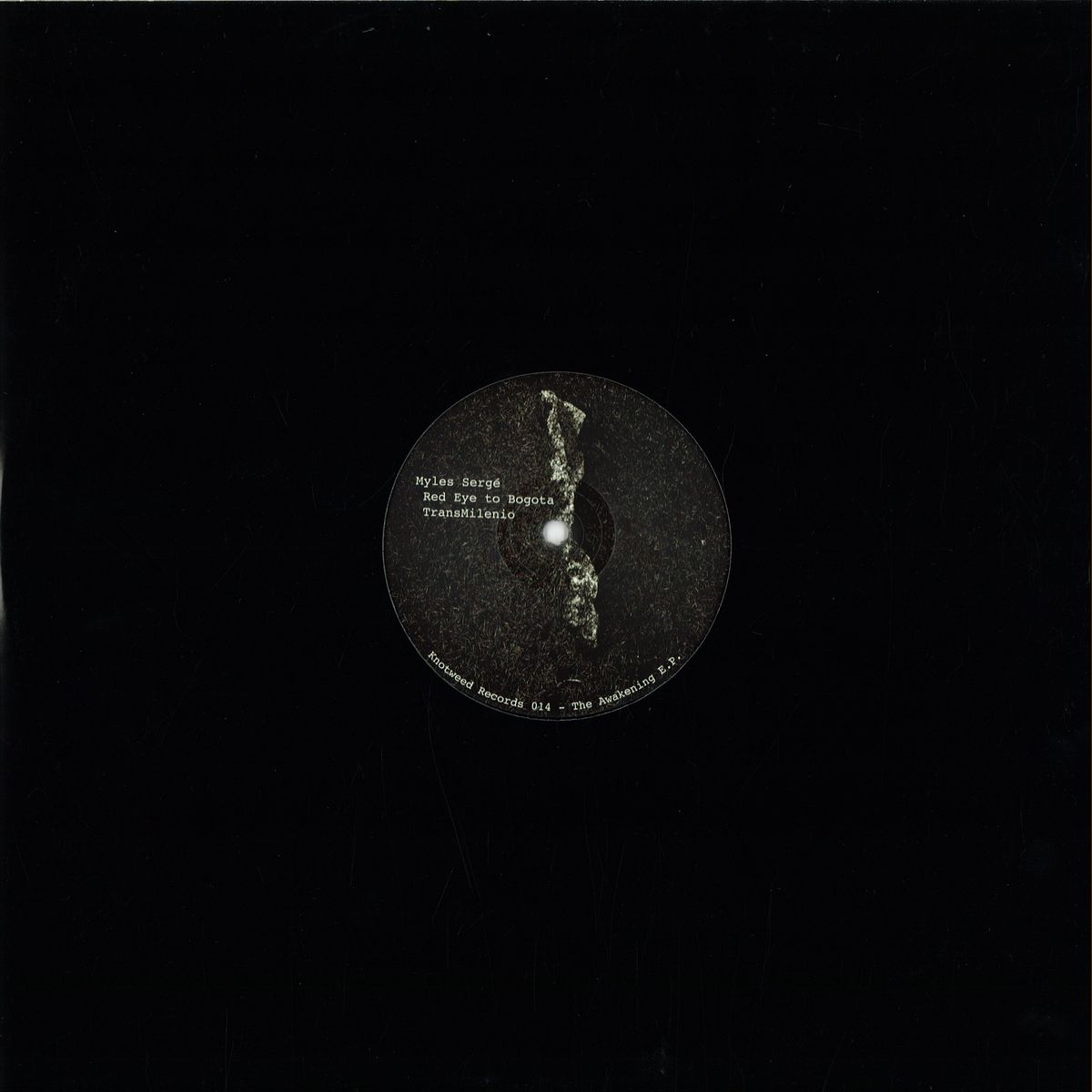 Back cover of Vinyl Future's MYLES SERGÉ – THE AWAKENING E.P. vinyl record, showing the album artwork and track listing.