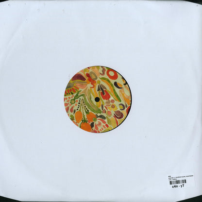 KIM, PATRICK KLEIN, VOIGTMANN, LEO POL – VOSTOK 1