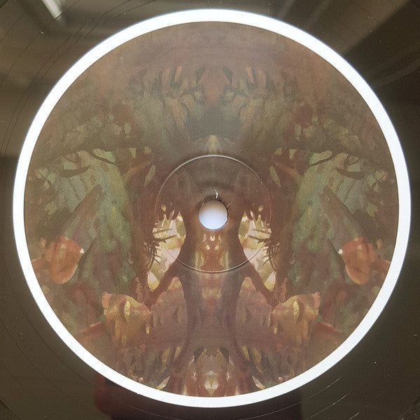 Back cover of the BIRDS OV PARADISE – BAYOU vinyl record by Triple Vision, featuring colorful artwork and record details.