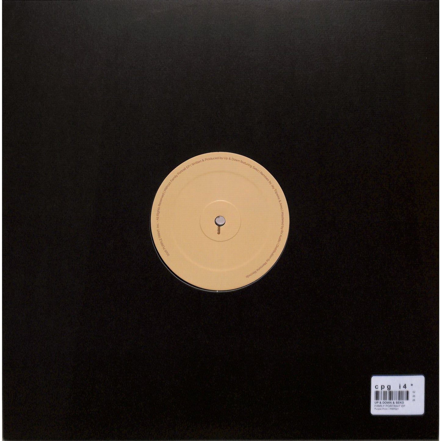 Triple Vision vinyl record "UP & DOWN & SEKO, JAY TRIPWIRE, AMO – FAMILY PORTRAIT EP" showing the back cover artwork.