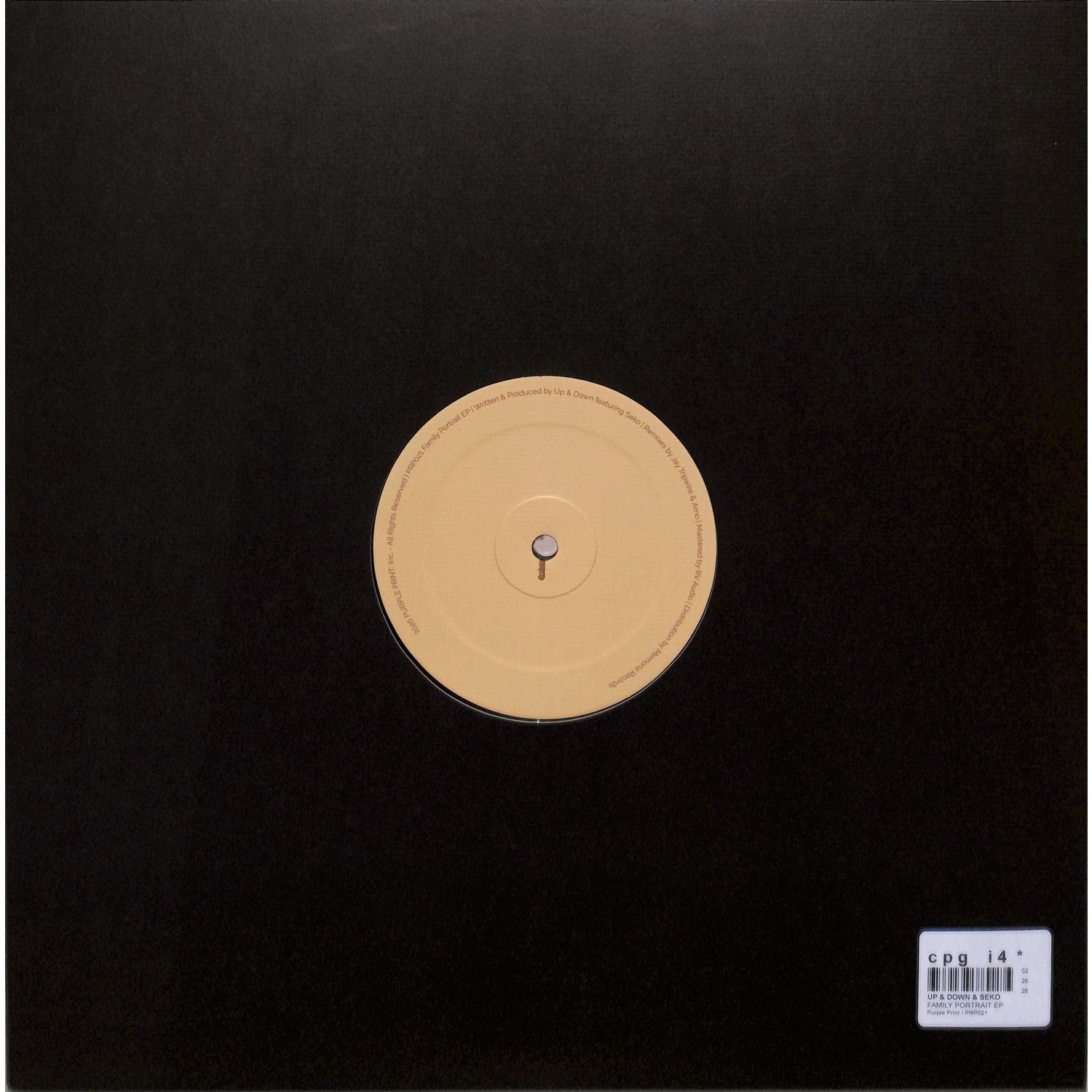 Triple Vision vinyl record "UP & DOWN & SEKO, JAY TRIPWIRE, AMO – FAMILY PORTRAIT EP" showing the back cover artwork.