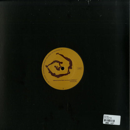 Back cover of DBH vinyl record "I Feel The Rhythm" by Ron Trent and Paul Johnson, featuring colorful abstract art.