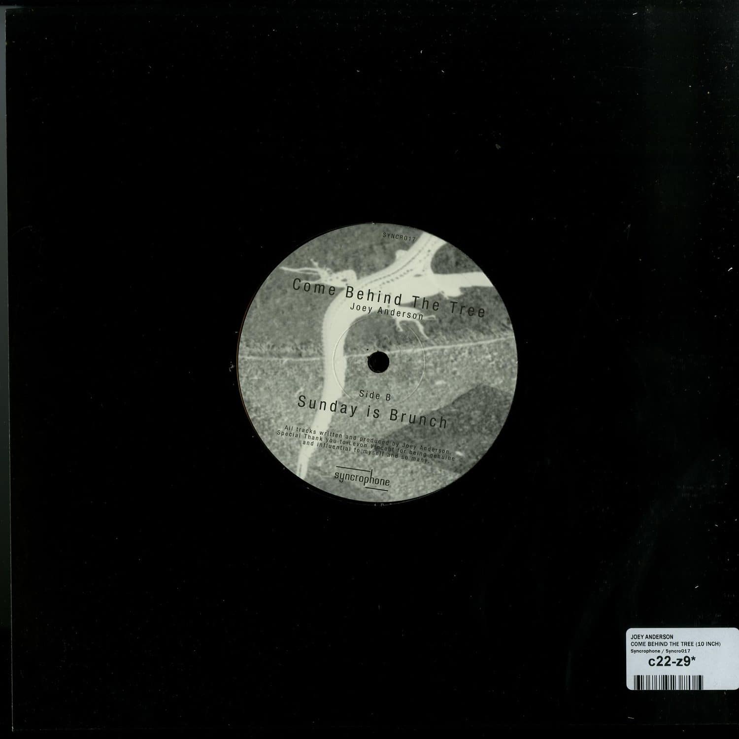 Back cover of Joey Anderson vinyl record "Come Behind the Tree," second-hand release with abstract artwork and vintage design elements.