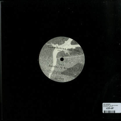 Back cover of Joey Anderson vinyl record "Come Behind the Tree," second-hand release with abstract artwork and vintage design elements.