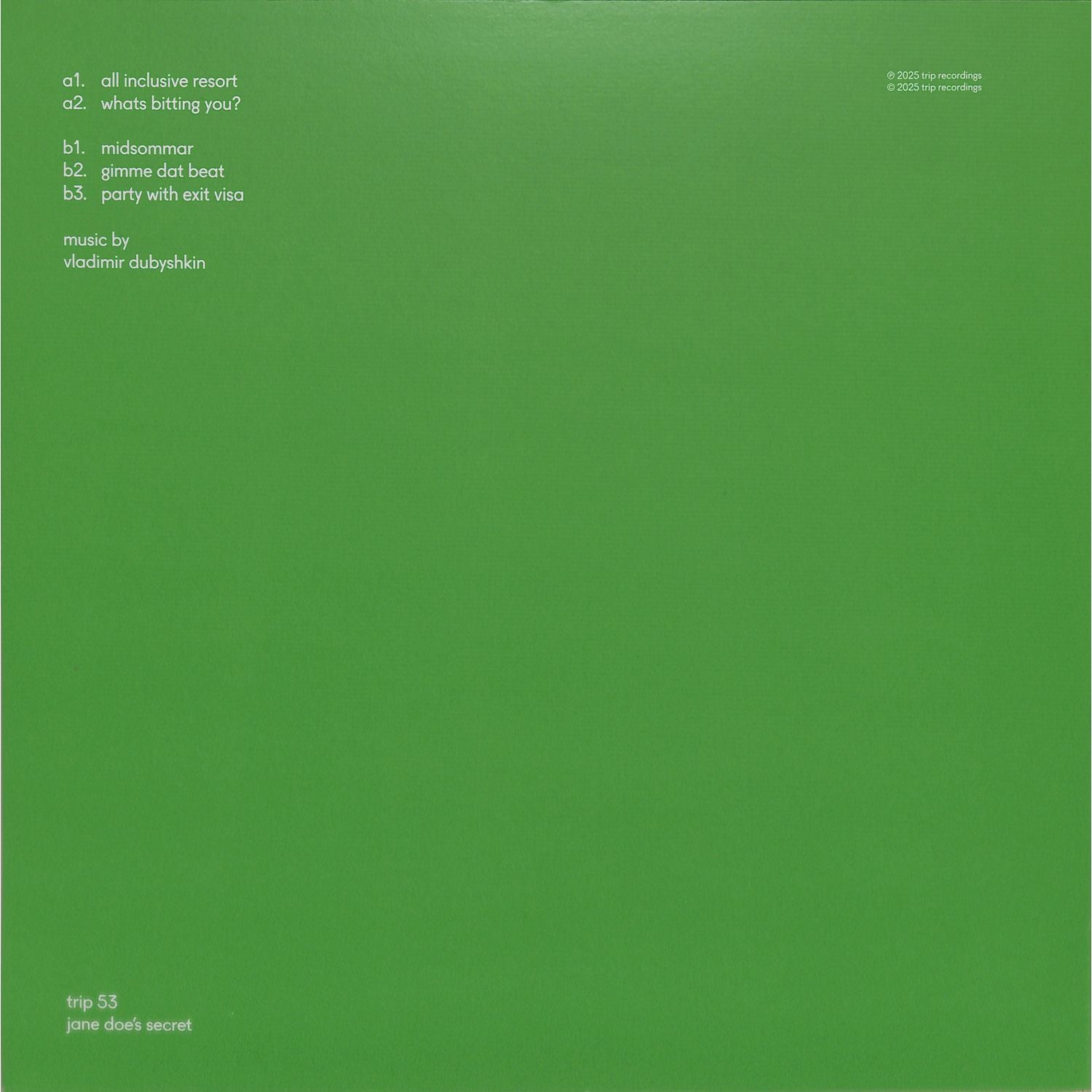 Back of Vladimir Dubyshkin’s vinyl record "Jane Doe's Secret" by Triple Vision showing the album cover and record sleeve design.