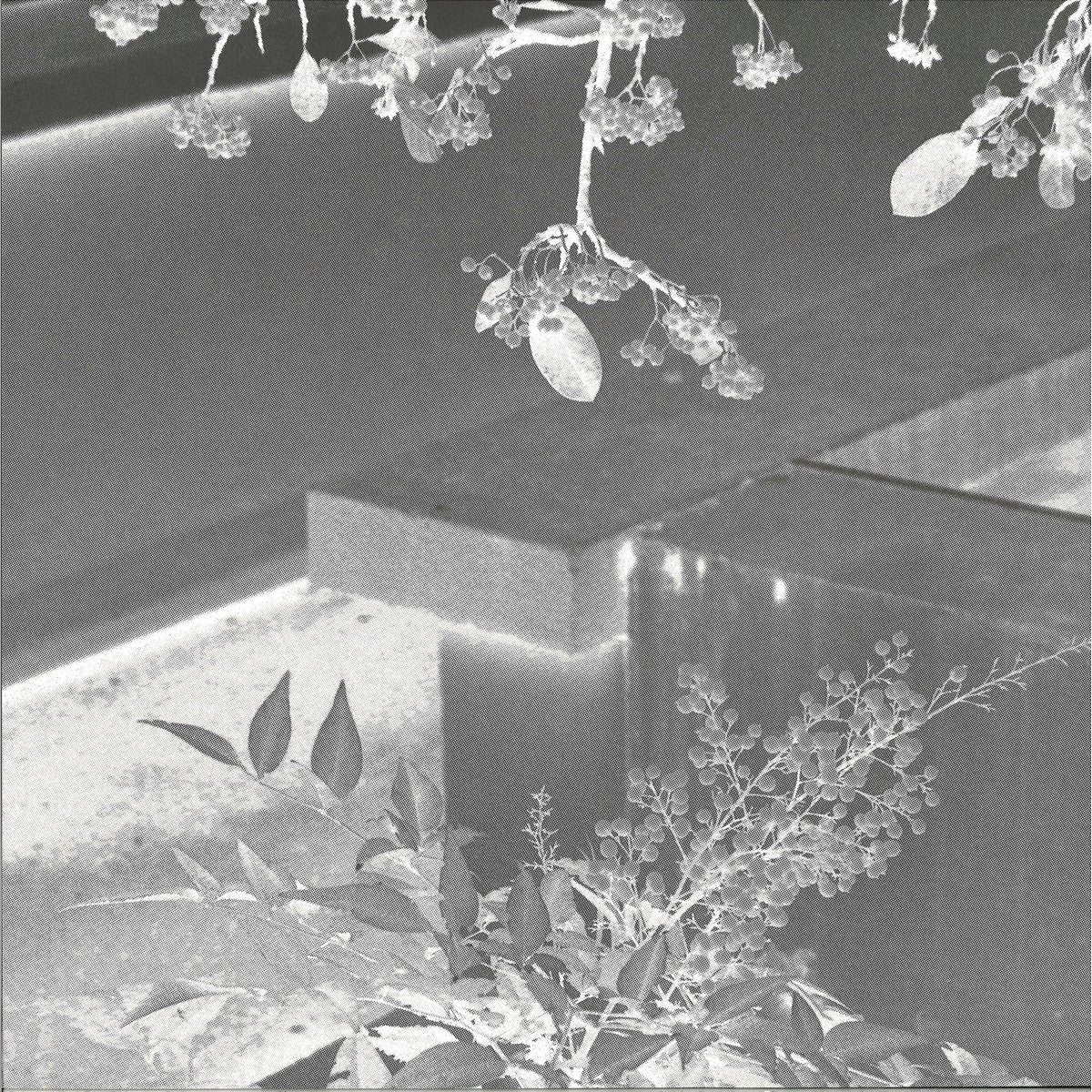 DIEGO KRAUSE – BRING THE NOISE