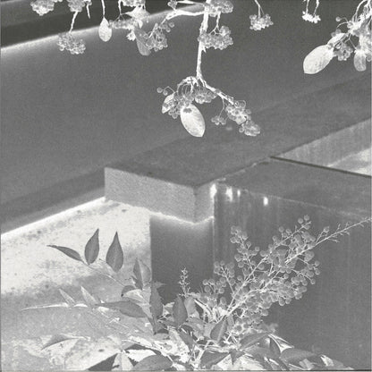 DIEGO KRAUSE – BRING THE NOISE