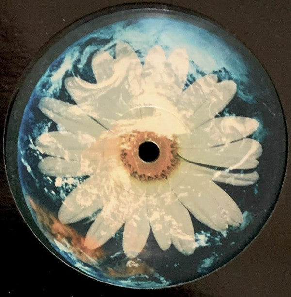 Second Hand DAISY GLOW vinyl record by Sonic Temple, Tasti-Box, featuring the album cover and record label details.