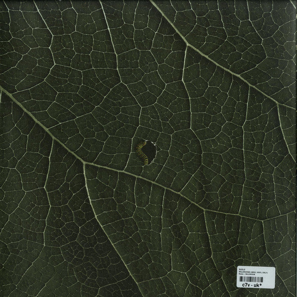 SUOLO – MULENV008 - Chippy Chasers Record Store