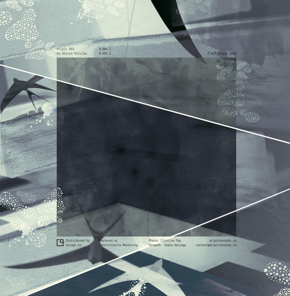 ADRIAN NICULAE – ATIPIC 001 - Chippy Chasers Record Store