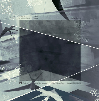 ADRIAN NICULAE – ATIPIC 001 - Chippy Chasers Record Store