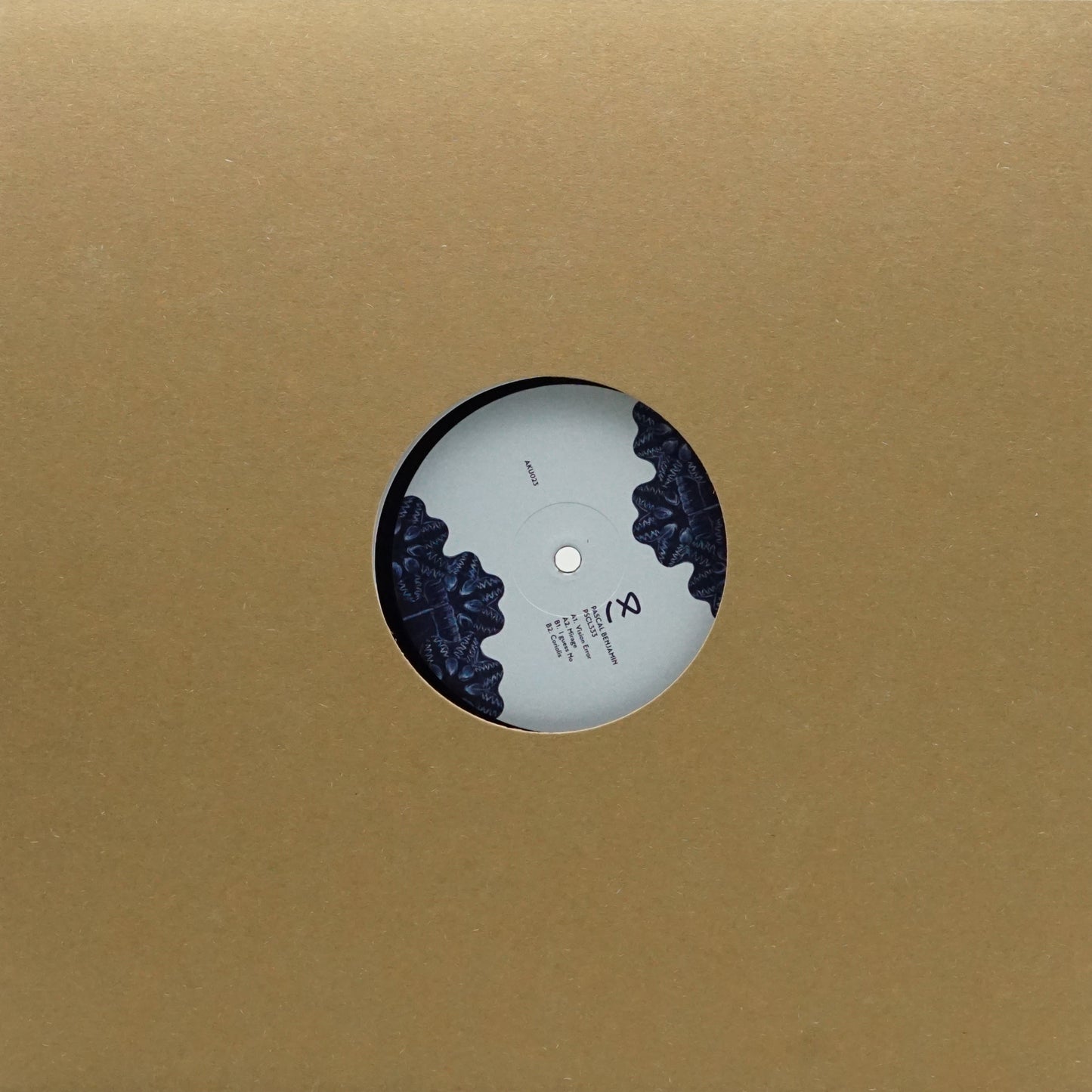 PASCAL BENJAMIN – PSCL333