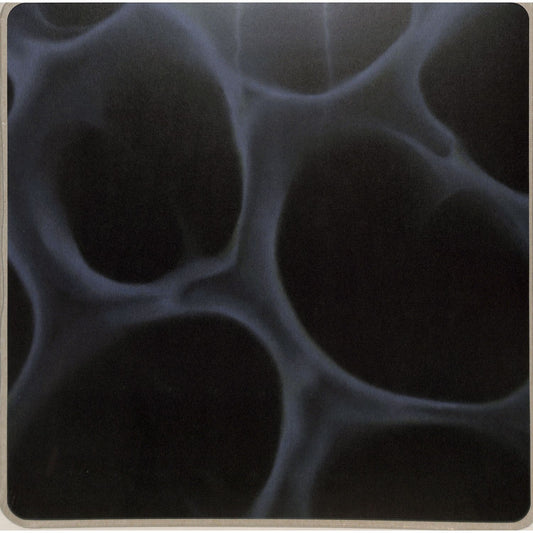 BLNDR – RADIOLARIA