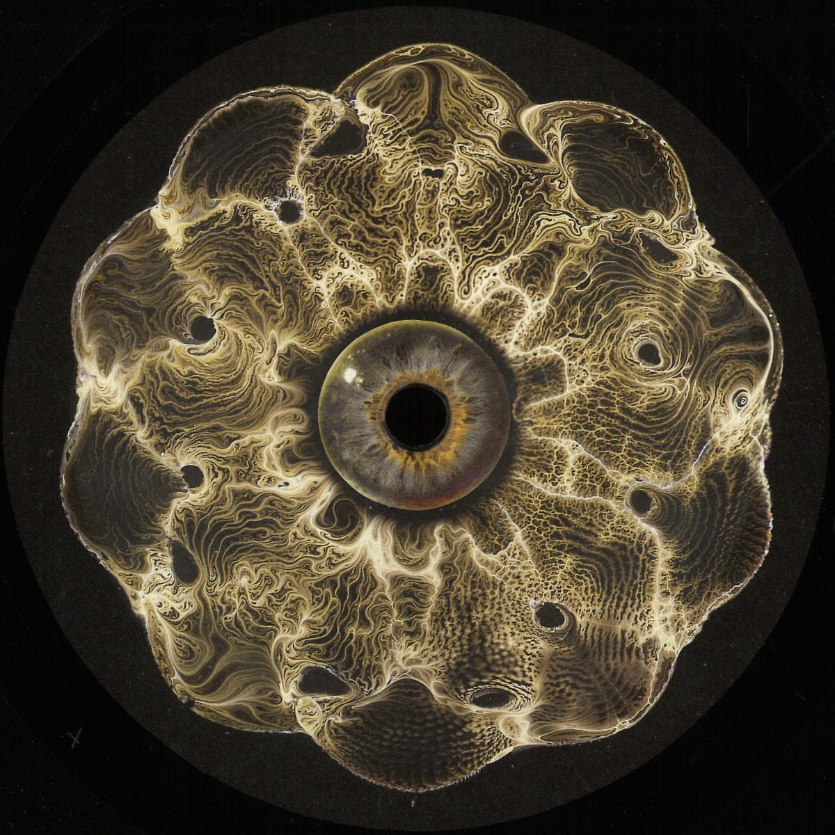 Vinyl record titled "Inward Currents EP" by Oleg Makovskiy and Alex Font, featuring abstract artwork on the cover.