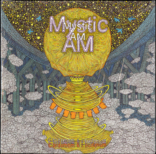 Space Cadets Mystic AM vinyl record featuring Cardamom & Laudanum with colorful album artwork on the front.