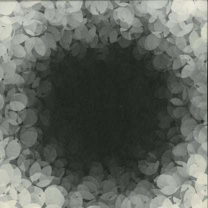 Second Hand vinyl record of INIGO KENNEDY & SAMULI KEMPPI's Catalogue of Errors, showing the front cover artwork.