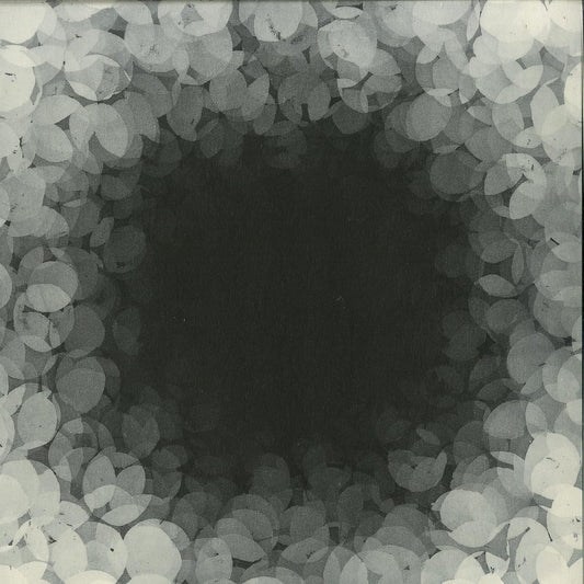 Second Hand vinyl record of INIGO KENNEDY & SAMULI KEMPPI's Catalogue of Errors, showing the front cover artwork.