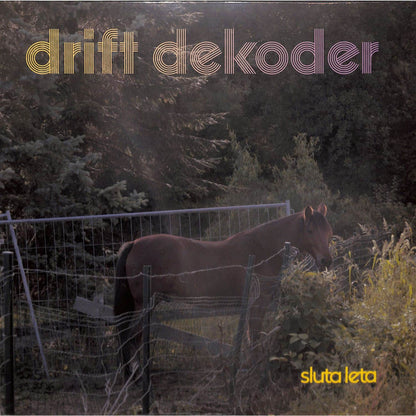 DBH Drift Dekoder vinyl record titled "Sluta Leta" featuring album art with vibrant colors and abstract design.