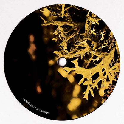 VAN BONN, LUIGI TOZZI ‎– DETACHED TRAILS