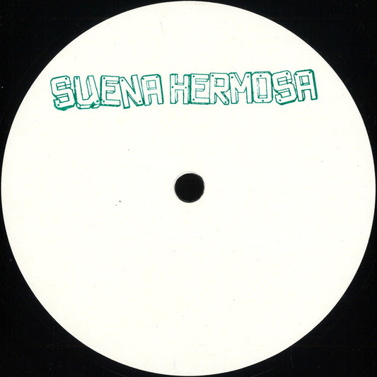 Vinyl Future vinyl record featuring Steve Hammer and Nicola Brusegan's "The Song of the Sirens" album cover with artwork and text.