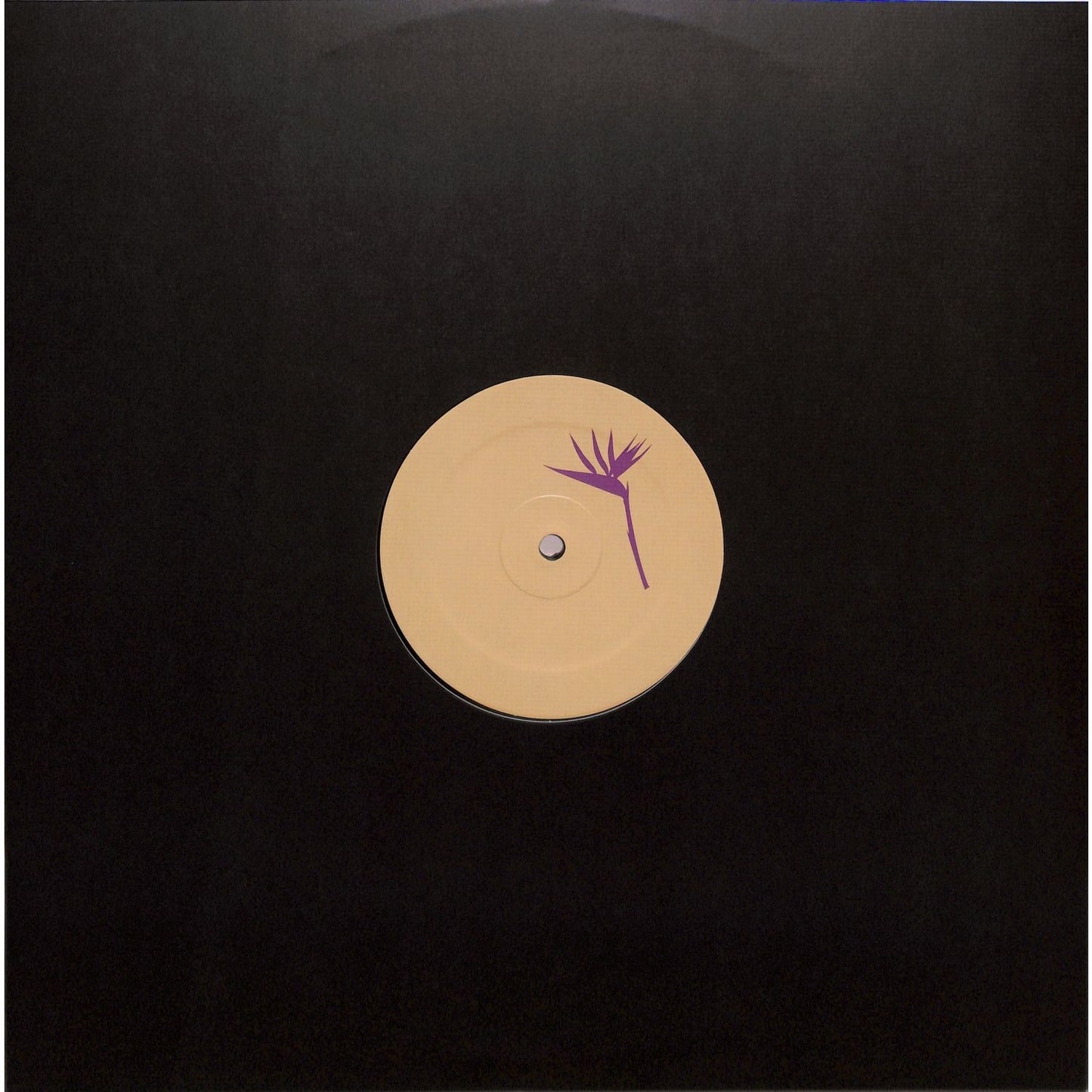Vinyl record titled "UP & DOWN & SEKO, JAY TRIPWIRE, AMO – FAMILY PORTRAIT EP" by Triple Vision, showing the record cover art.