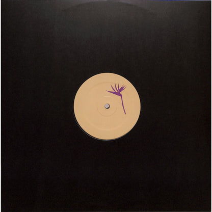 Vinyl record titled "UP & DOWN & SEKO, JAY TRIPWIRE, AMO – FAMILY PORTRAIT EP" by Triple Vision, showing the record cover art.