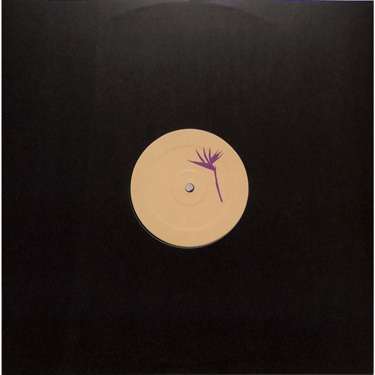 Vinyl record titled "UP & DOWN & SEKO, JAY TRIPWIRE, AMO – FAMILY PORTRAIT EP" by Triple Vision, showing the record cover art.