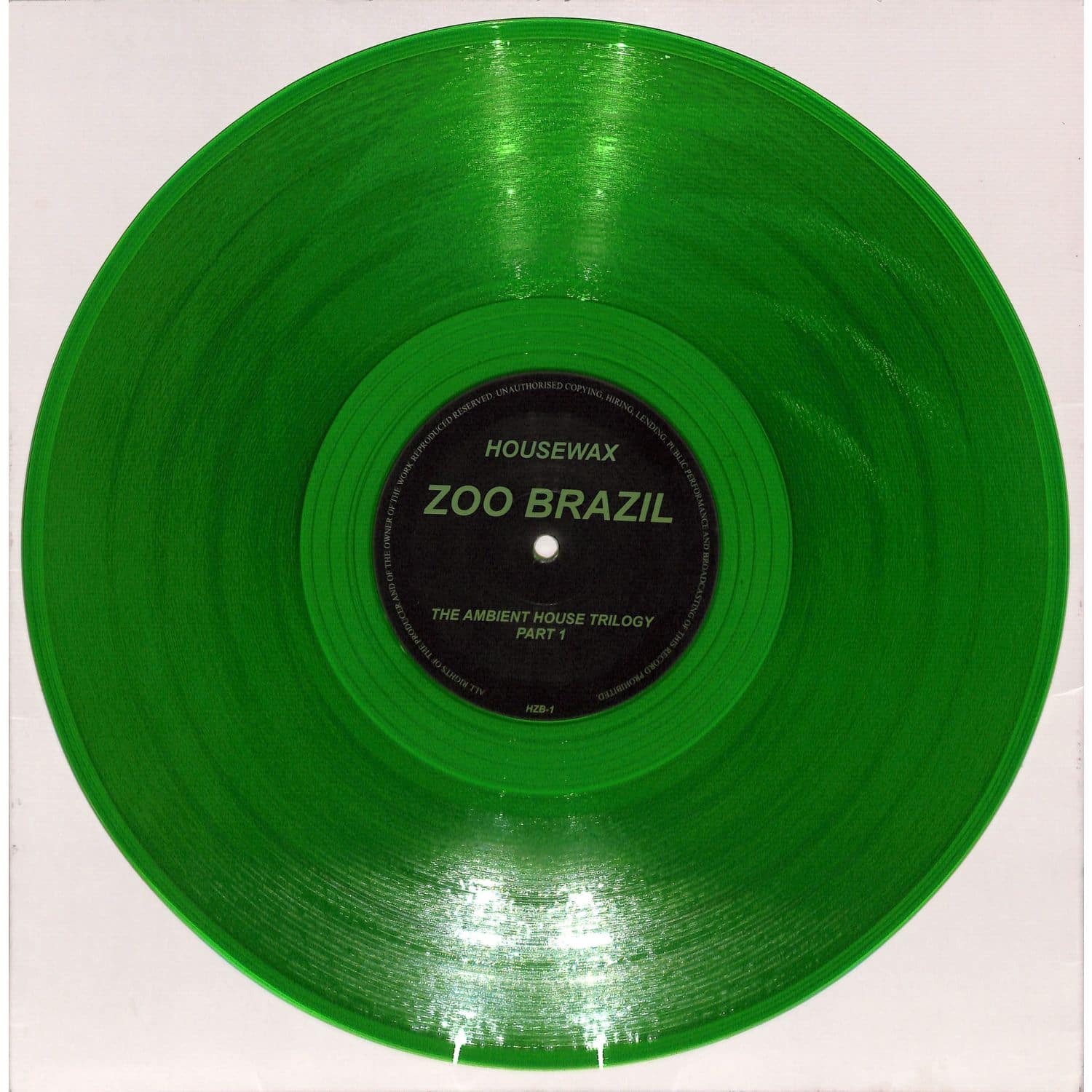 DBH ZOO BRAZIL vinyl record from The Ambient House Trilogy Part 1, front cover featuring abstract artwork and album title.