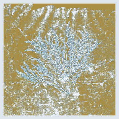 Second Hand HUERCO S. vinyl record titled "For Those of You Who Have Never (And Also Those Who Have)" with album cover art.