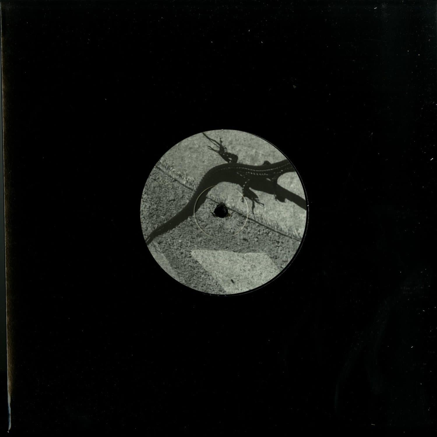 Vinyl record titled "Come Behind the Tree" by Joey Anderson, front cover art showing abstract tree imagery and vibrant colors.