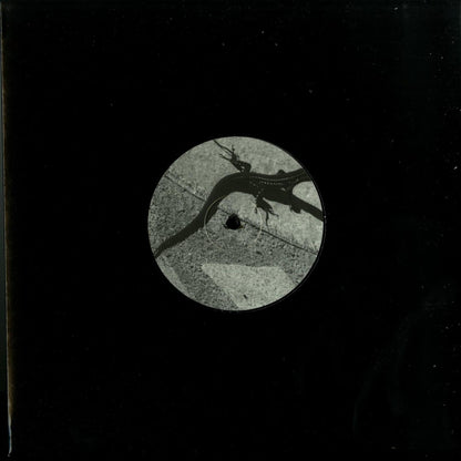 Vinyl record titled "Come Behind the Tree" by Joey Anderson, front cover art showing abstract tree imagery and vibrant colors.