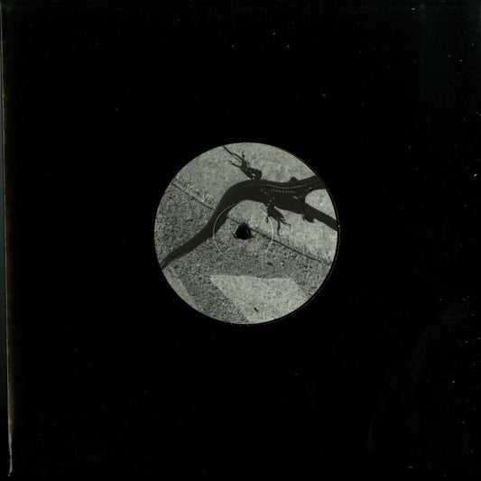 Vinyl record titled "Come Behind the Tree" by Joey Anderson, front cover art showing abstract tree imagery and vibrant colors.