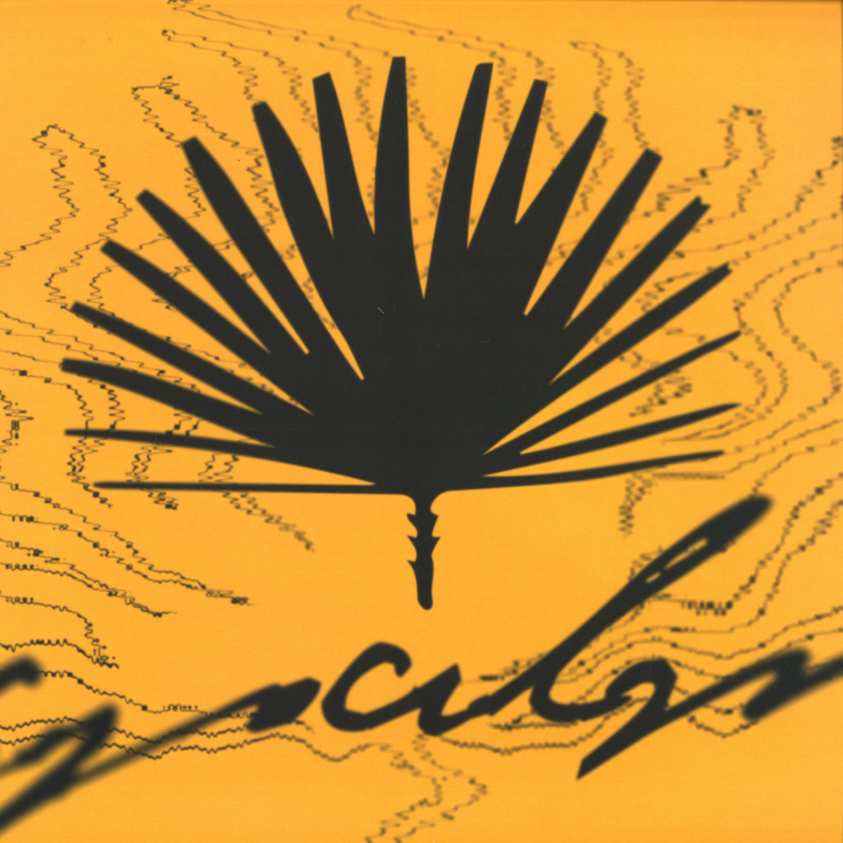 FELIPE VALENZUELA, SAKRO, GUY FROM DOWNSTAIRS, ALFFIE, PIZZICATTO – CINC