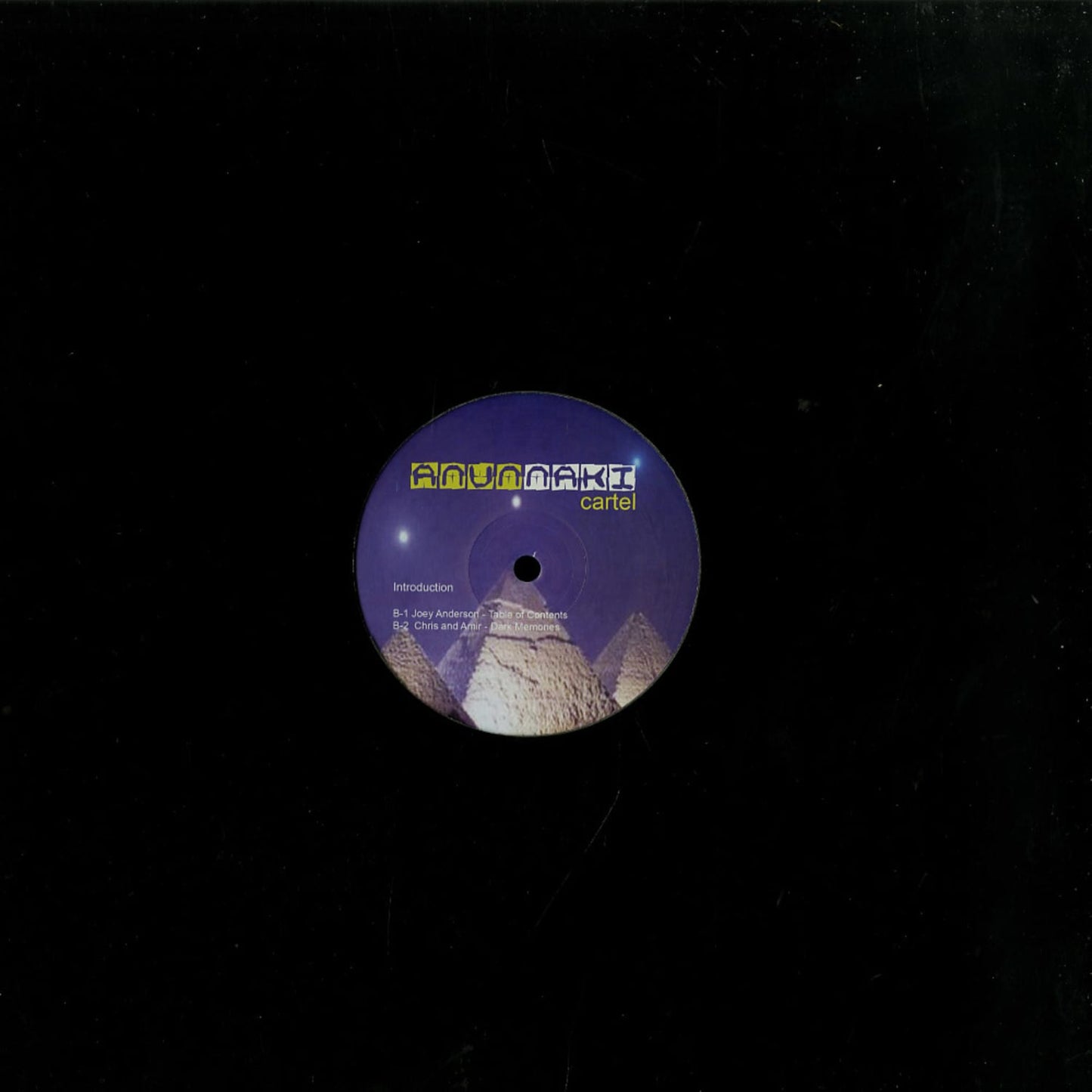 Vinyl record titled "Introduction" featuring artists Chris Mitchell, Amir Alexander, Joey Anderson, second-hand brand, front cover image.