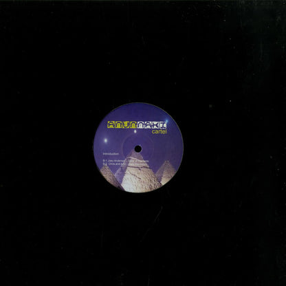 Vinyl record titled "Introduction" featuring artists Chris Mitchell, Amir Alexander, Joey Anderson, second-hand brand, front cover image.